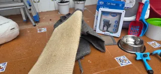 Kit Gato: Arenero, Puerta, Fuente y Más