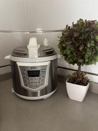Olla programable Erika Plus