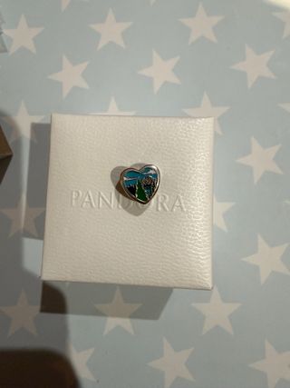 Charm Pandora Corazón Washington