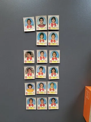 Figurine Panini L. R. Vicenza 1977-78
