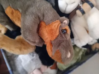 Colección de peluches