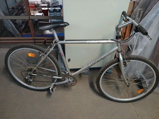 Bicicleta de Montaña Plata