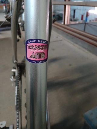 Bicicleta de Montaña Plata