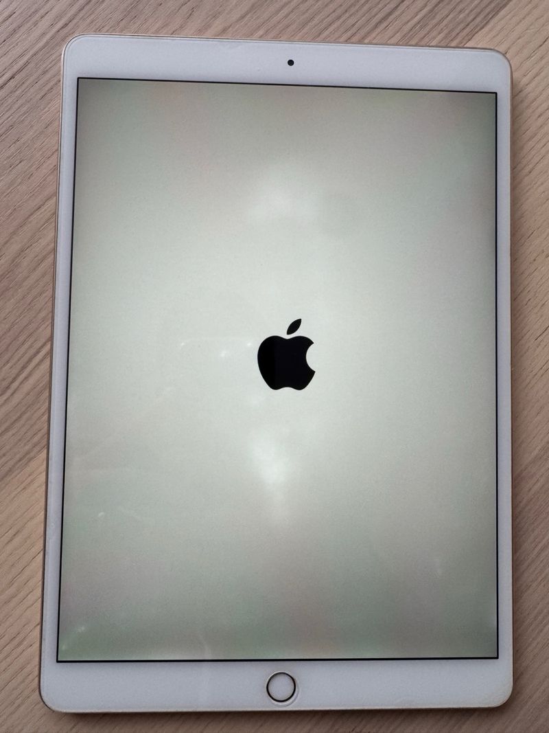 iPad Pro 10.5 256GB afbeelding 2