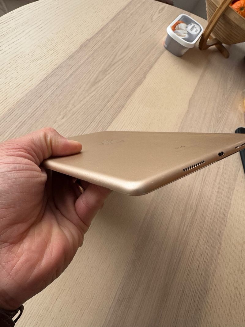 iPad Pro 10.5 256GB afbeelding 5