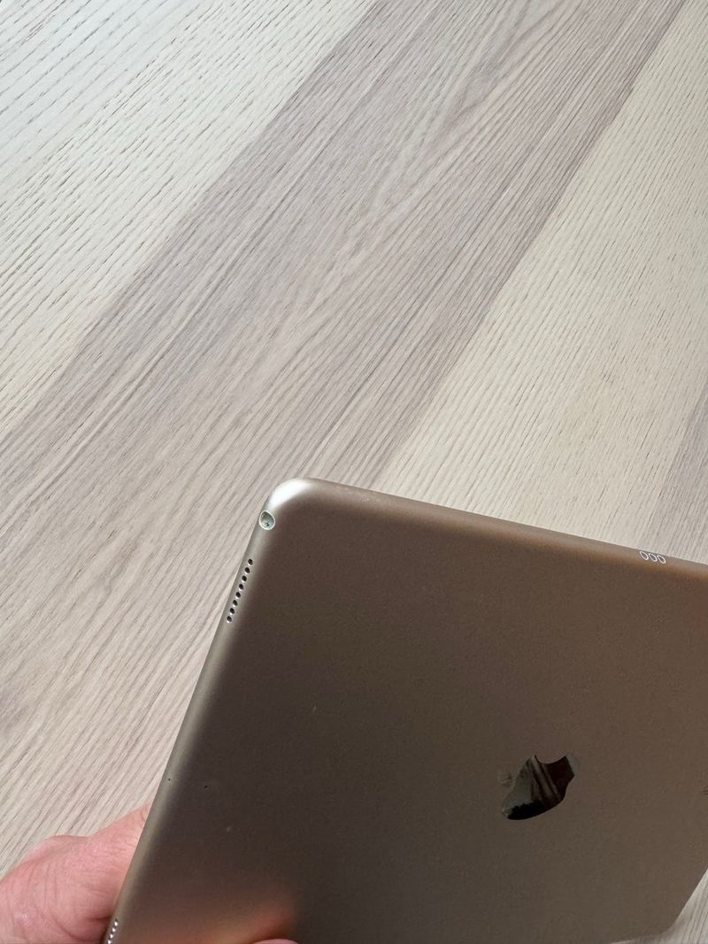 iPad Pro 10.5 256GB afbeelding 7