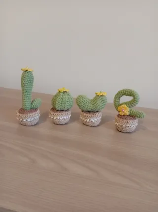 Set 4 Piante Grasse Uncinetto