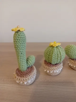 Set 4 Piante Grasse Uncinetto