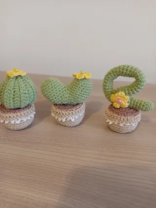 Set 4 Piante Grasse Uncinetto