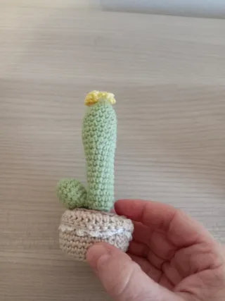 Set 4 Piante Grasse Uncinetto