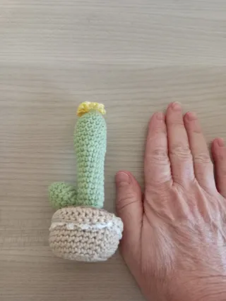 Set 4 Piante Grasse Uncinetto