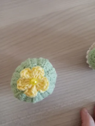 Set 4 Piante Grasse Uncinetto