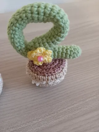 Set 4 Piante Grasse Uncinetto