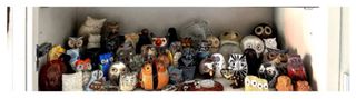 Grande collezione civette decorative