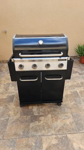 Barbacoa Naterial Negra y Plateada