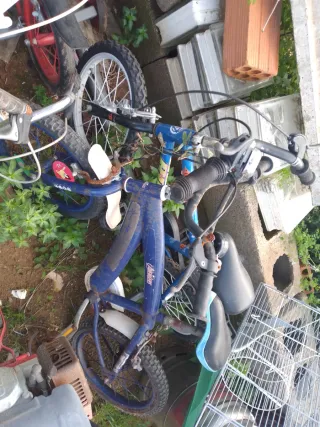 Lote de bicicletas infantiles