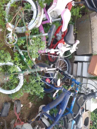 Lote de bicicletas infantiles