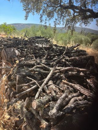 Leña de encina 1000kg