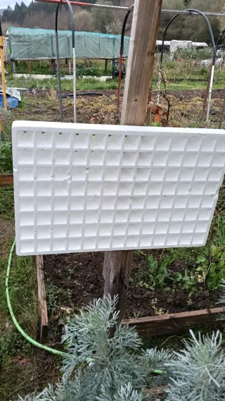 Bandeja semillero 54 alveolos y el segundo 104