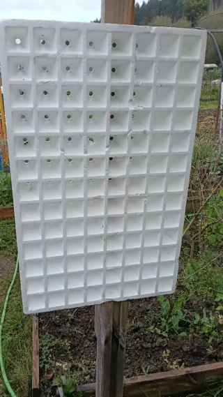 Bandeja semillero 54 alveolos y el segundo 104