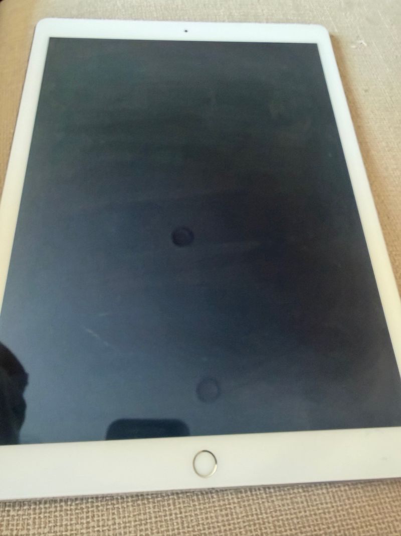 Apple iPad Pro Plata afbeelding 2