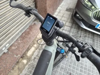 Riese & Müller Delite Mountain