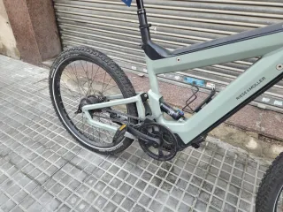 Riese & Müller Delite Mountain