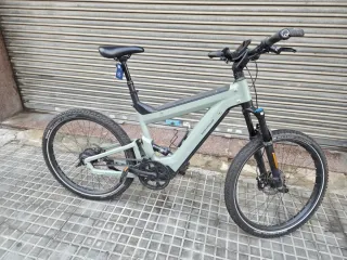 Riese & Müller Delite Mountain