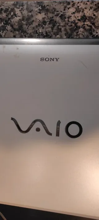 Portátil Sony Vaio Plata/Blanco