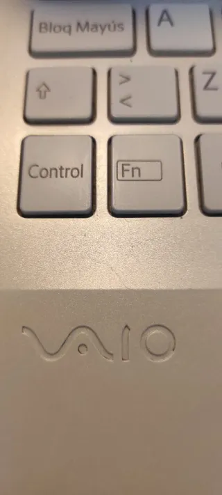 Portátil Sony Vaio Plata/Blanco