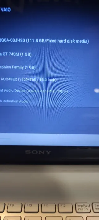Portátil Sony Vaio Plata/Blanco