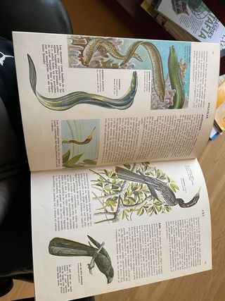 Enciclopedias ciencias naturales Bruguera