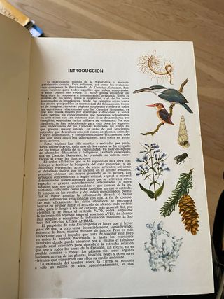 Enciclopedias ciencias naturales Bruguera