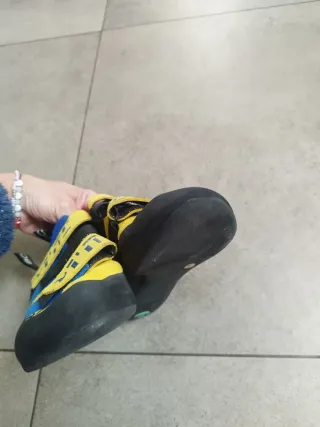 Pies de gato Silex Boreal 37