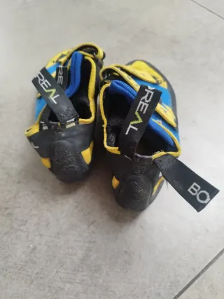 Pies de gato Silex Boreal 37