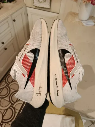 Nike Pegasus 40 Eliud Kipchoge EK