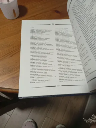 Diccionario inglés -español