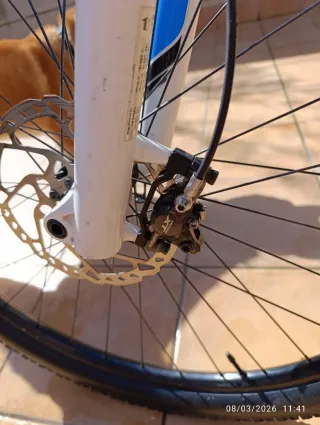 Specialized Camber Comp Carbono 29 talla M