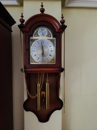 Reloj de pared Tempus Fugit