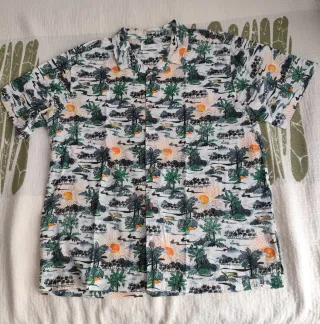 Dos camisas hawaianas