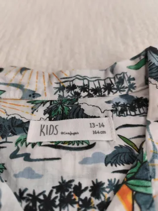 Dos camisas hawaianas