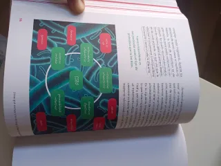 Dime qué comes y te diré qué bacterias tienes /...