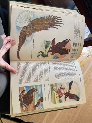 Curiosidades del Reino Animal