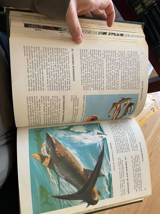 Curiosidades del Reino Animal