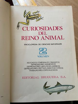 Curiosidades del Reino Animal