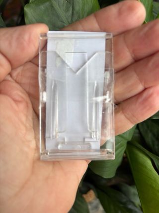 Ammonites Fósil del Cretácico Clasificado