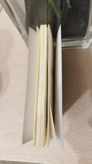 Bajarse al moro (Spanish Edition)