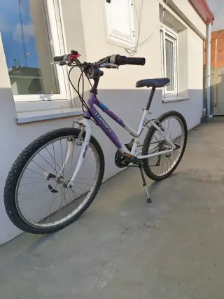 Bicicleta niña TOPBIKE morada