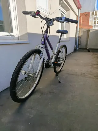 Bicicleta niña TOPBIKE morada
