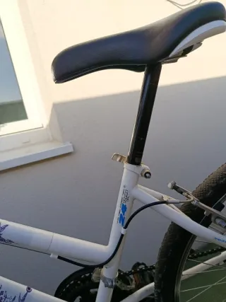 Bicicleta niña TOPBIKE morada